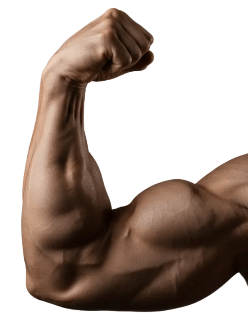 Bear Claw Strong